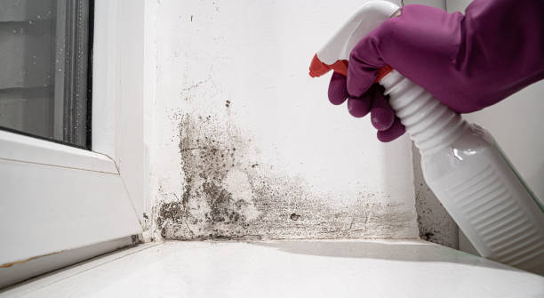 Water damage restoration mold remediation in Vian, OK